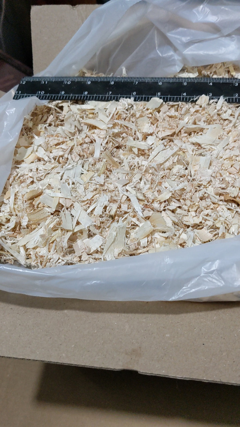 3 lb Aspen Shavings – Insect & Dermestid Beetle Substrate